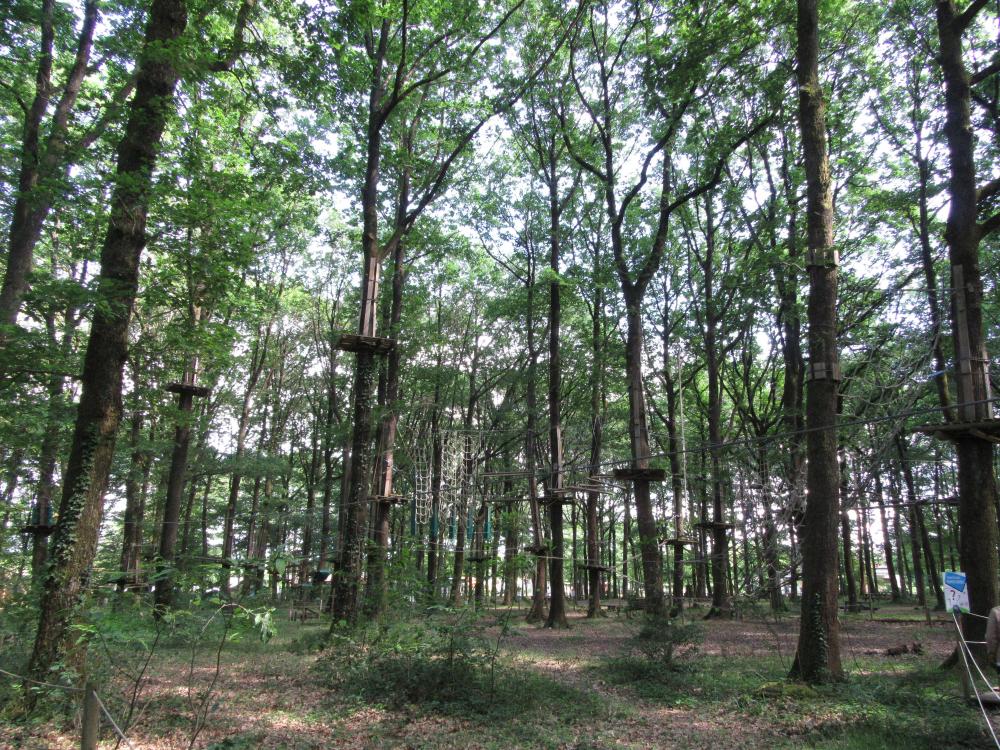 ACCROBRANCHE A MESNARD LA BAROTIERE