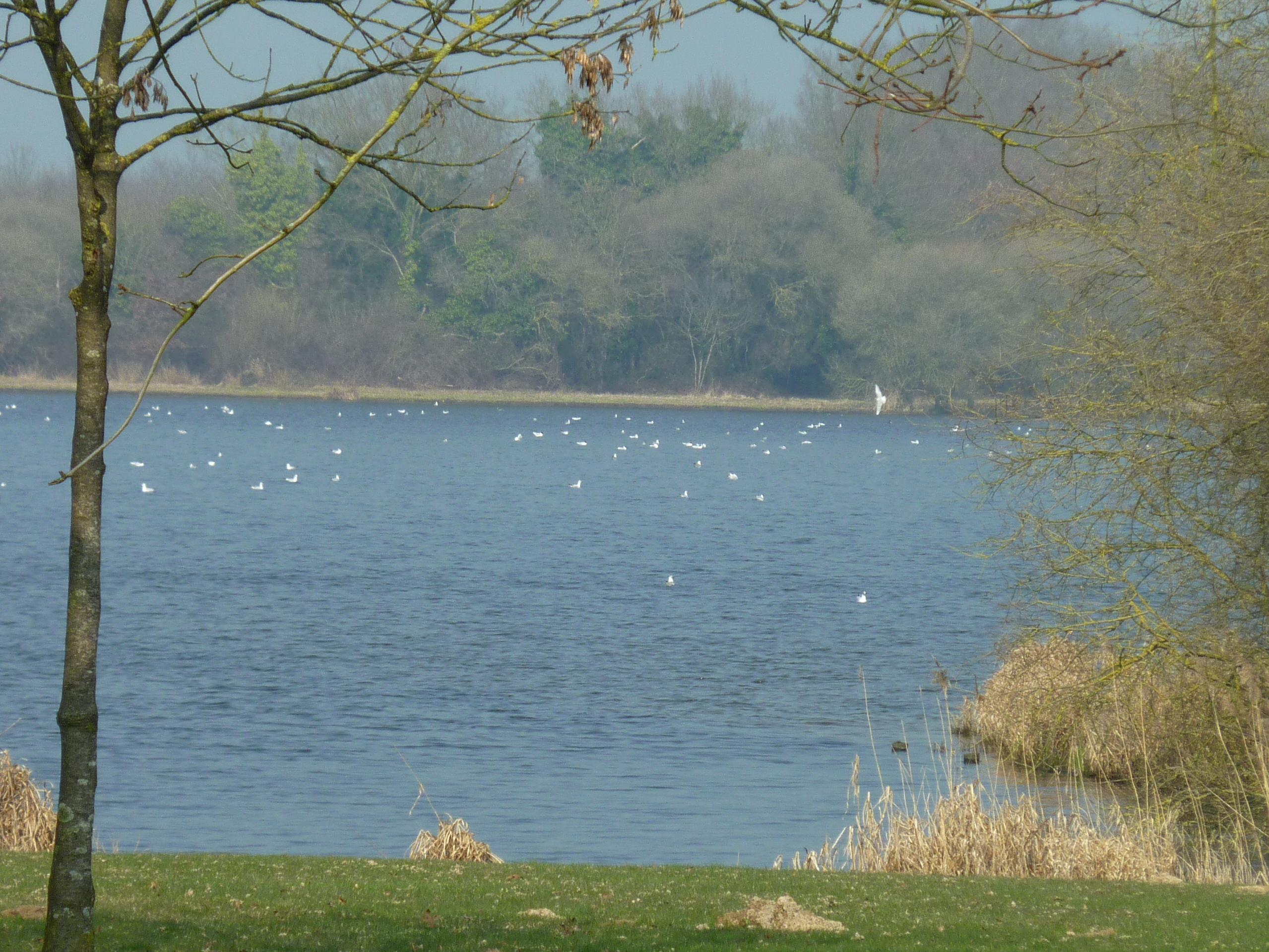 CITE DES OISEAUX