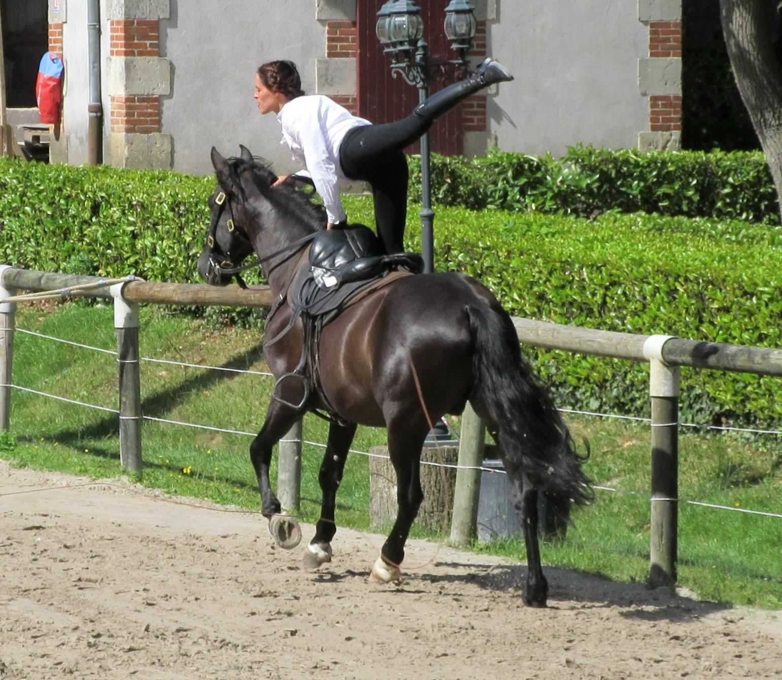 HARAS DE LA VENDEE