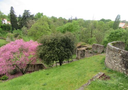 paysage Montaigu
