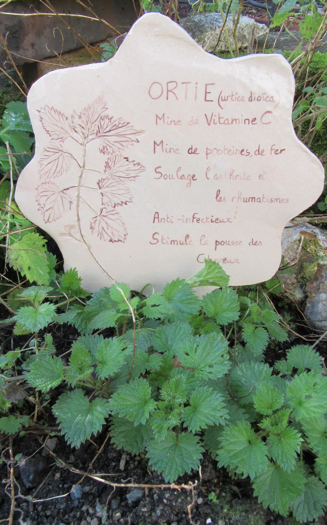 PLAQUE DESCRIPTION ORTIES