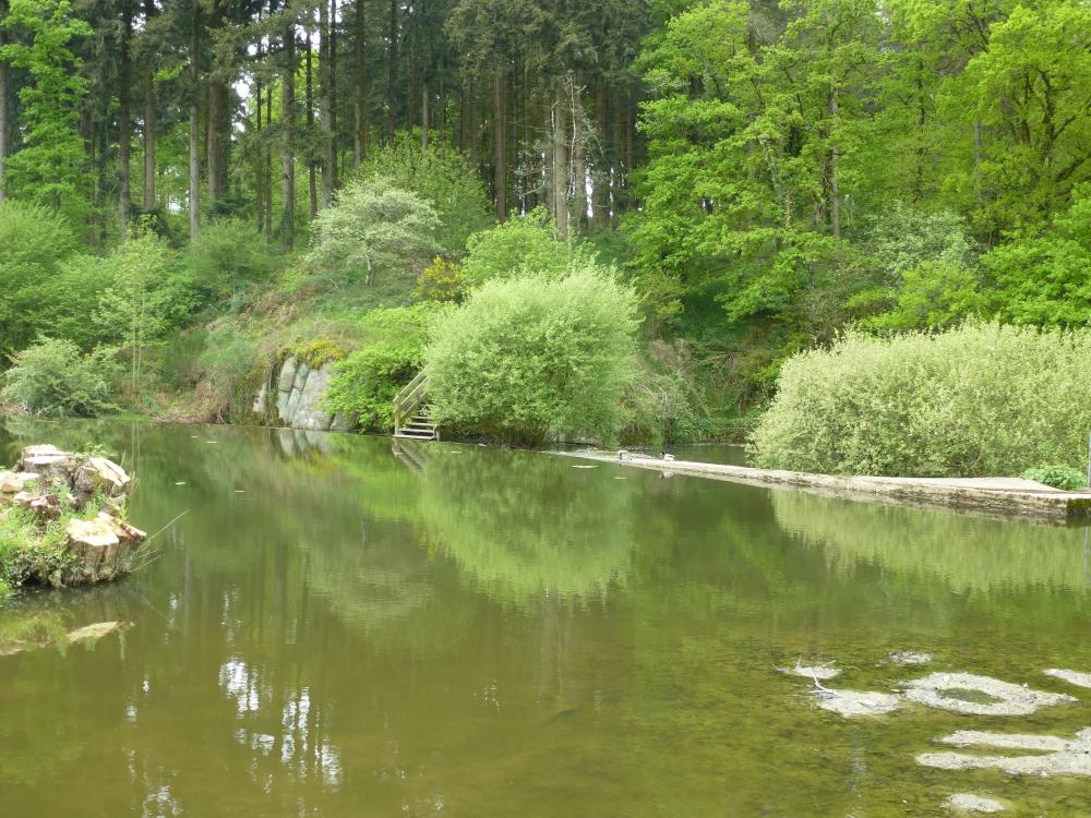 La Grande Maine